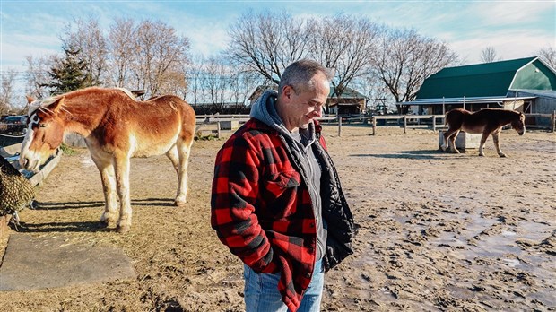 Une histoire de chevaux, mais surtout d’humains