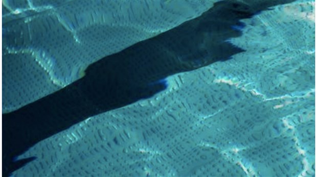 Rigaud: c'est le moment de s'inscrire au cours d'aquaforme