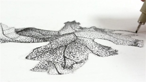 Cours de dessin et de peinture offerts cet hiver à Les Coteaux 