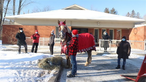 Un cheval apporte du réconfort à des patients aux soins palliatifs pour Noël
