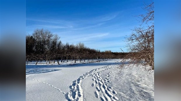 Le Verger Labonté propose bientôt des activités hivernales