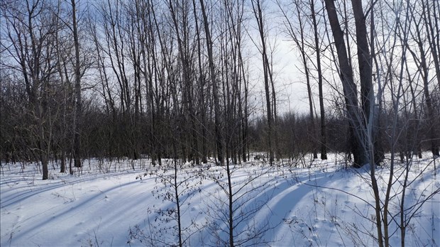 Un parc nature pour Notre-Dame-de-l’Île-Perrot