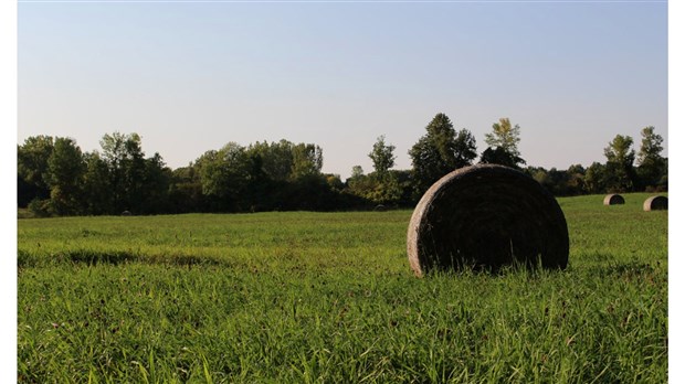 Producteurs agricoles propriétaires recherchés par la Ville de Rigaud 