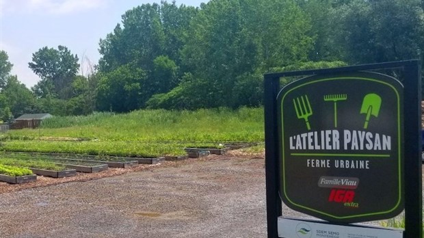 L’Atelier Paysan devient un OBNL