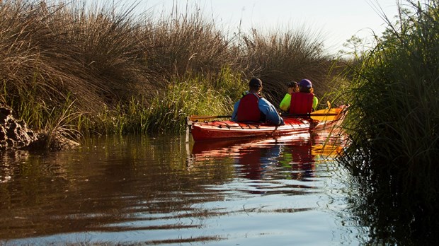 Saint-Zotique offre un nouveau site écotouristique