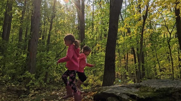 Lancement d'un site Web dédié à la conservation du boisé de Vaudreuil-sur-le-Lac