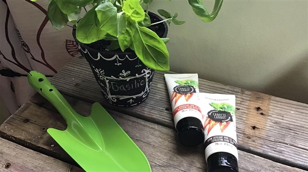 Atelier Fines herbes et peinture à la craie au Musée régional de Vaudreuil-Soulanges