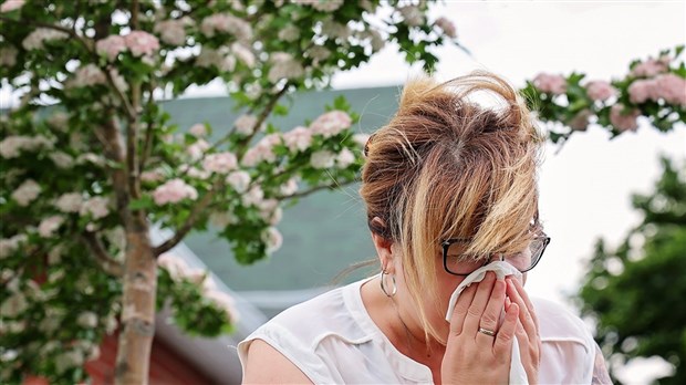 Comment traiter les allergies printanières? 