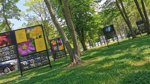 Quand la nature et l’art numérique ne font qu’un