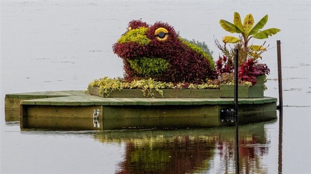 Des mosaïcultures flottantes au parc de la Maison Valois