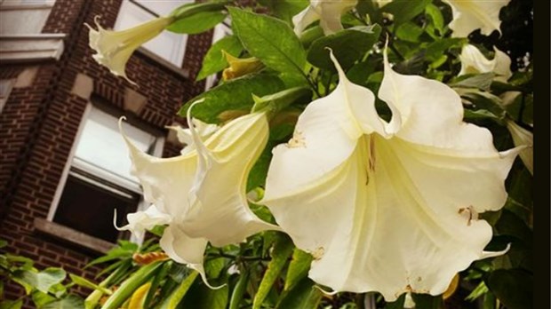 Découvrez la région dans la lentille de Natacha Marleau 