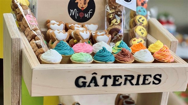 Un café-pâtisserie canin bientôt à Vaudreuil-Dorion