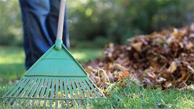 Trois collectes de feuilles et résidus verts à venir aux Cèdres 