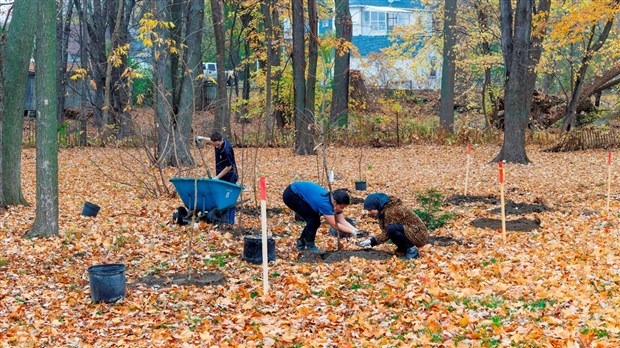 Journée de plantation communautaire au parc Le 405