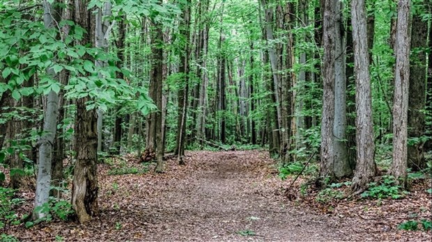 Deux rencontres d'informations à venir sur le mont Rigaud 