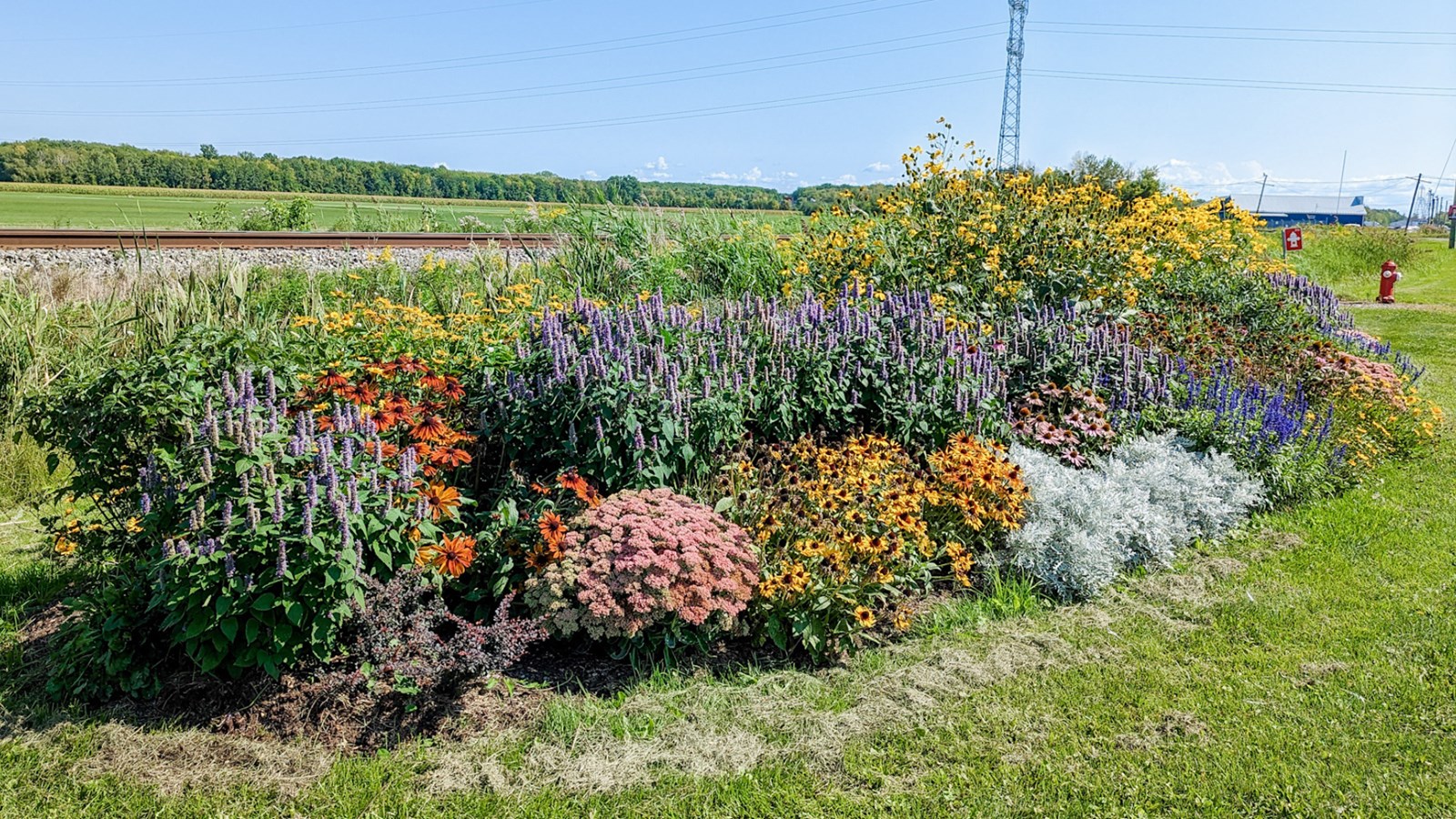 La Municipalité des Coteaux obtient 3 fleurons