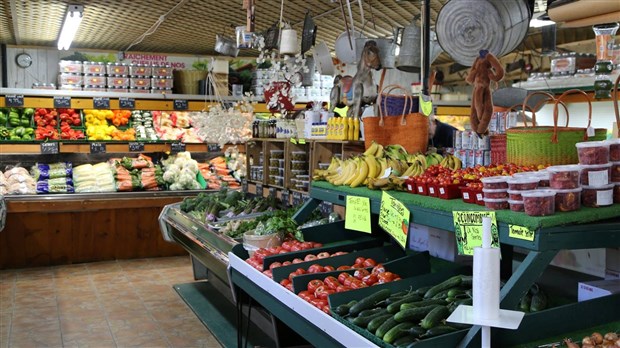 Les Serres Vaudreuil inc. / Fruits & Légumes Daoust en réflexion pour l'avenir 