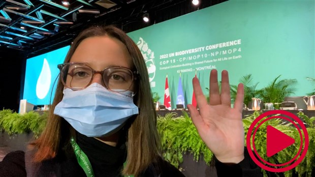 COP15 - Jour 8 | Le milieu des affaires s’invite à la COP15