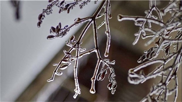 Winter storm expected to hit Quebec just before Christmas