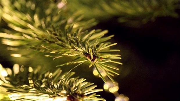 Collecte de sapins à Vaudreuil-Dorion du 3 au 13 janvier 