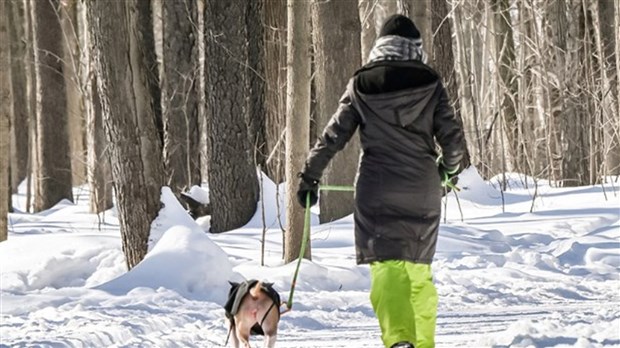 Plusieurs activités hivernales à venir à Coteau-du-Lac 