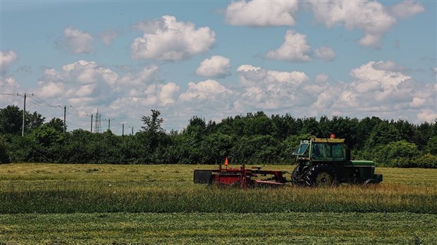 Les Producteurs de grains réclament une durabilité économique et environnementale de l’agriculture