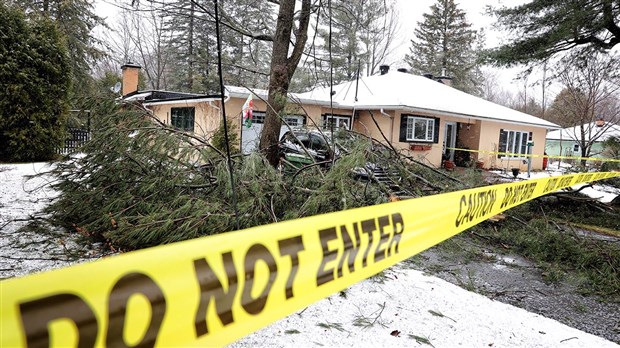 Arbres tombés, abris d'auto envolés et sorties de route