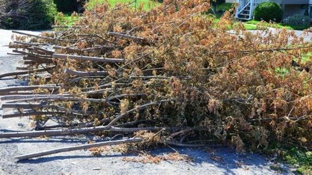 La collecte de branches du printemps à Très-Saint-Rédempteur 