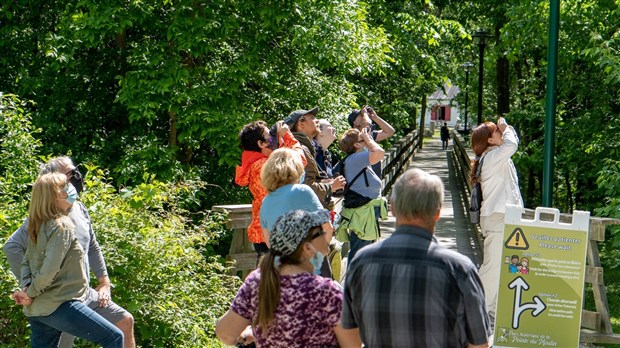 Activité gratuite dans Vaudreuil-Soulanges pour les amoureux des oiseaux 