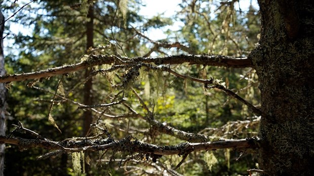 Faites-vous des efforts pour sauver la planète ?