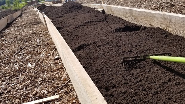Une deuxième édition pour le projet, Jardin Urbain