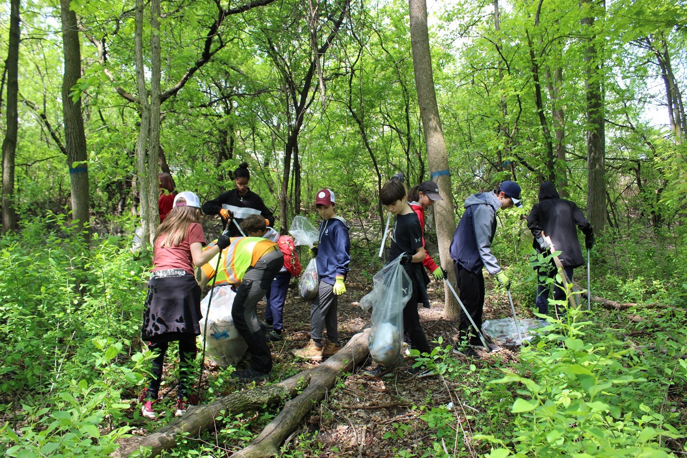Quand l'art se met au service de la protection de l'environnement