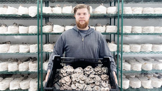 Les Fermes Amelium produisent des champignons haut de gamme à Saint-Lazare