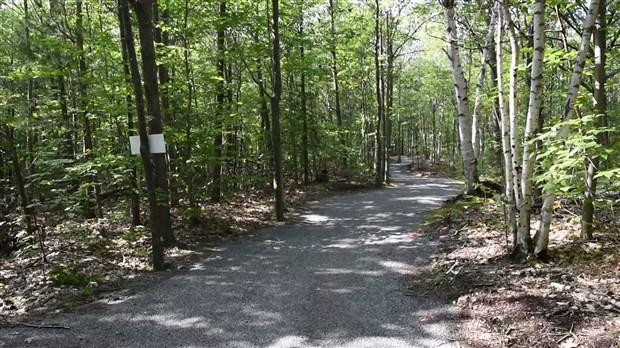 Parc nature les Forestiers-de-Saint-Lazare: la gratuité maintenant offerte aux Clétois