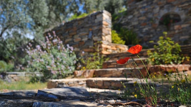 Retour du concours de maisons fleuries à Les Coteaux