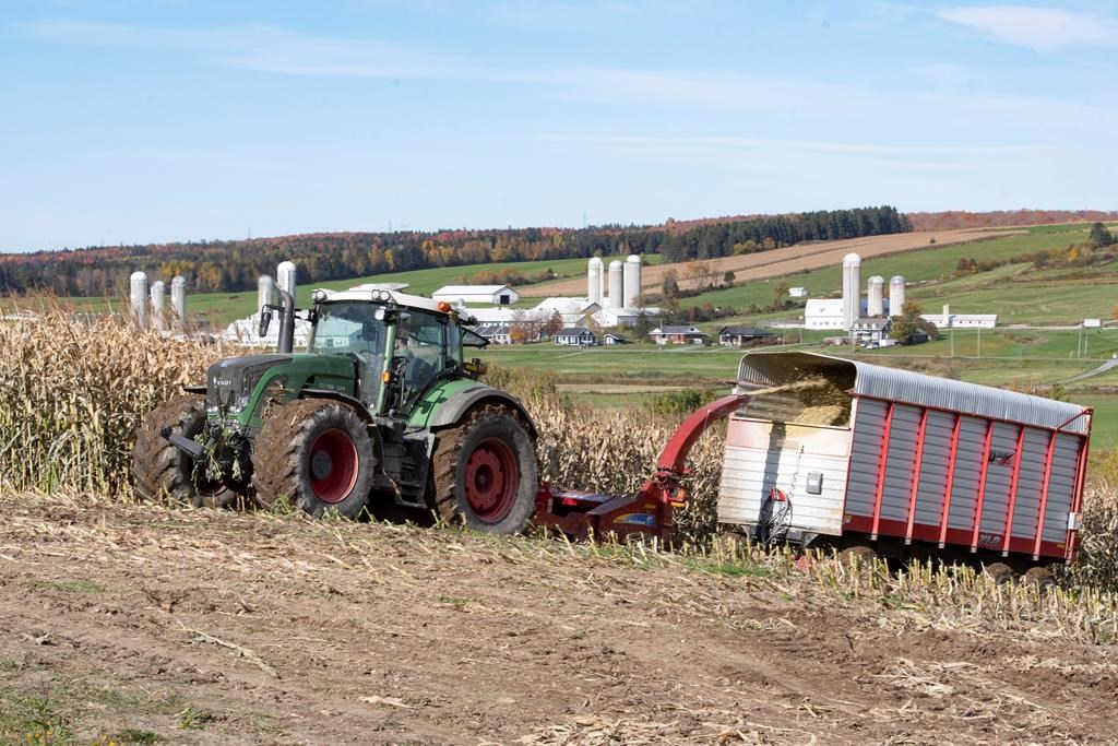 Changement climatique: un «état des connaissances» sur l'agriculture au Québec