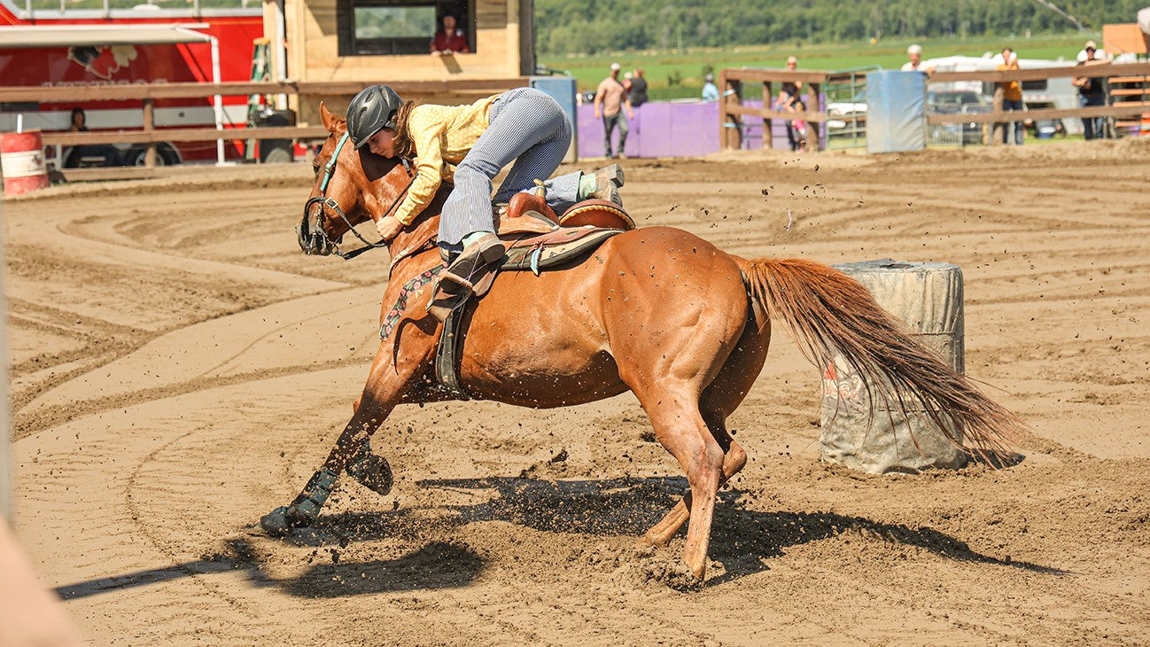 La fièvre équestre a atteint SainteJustinedeNewton