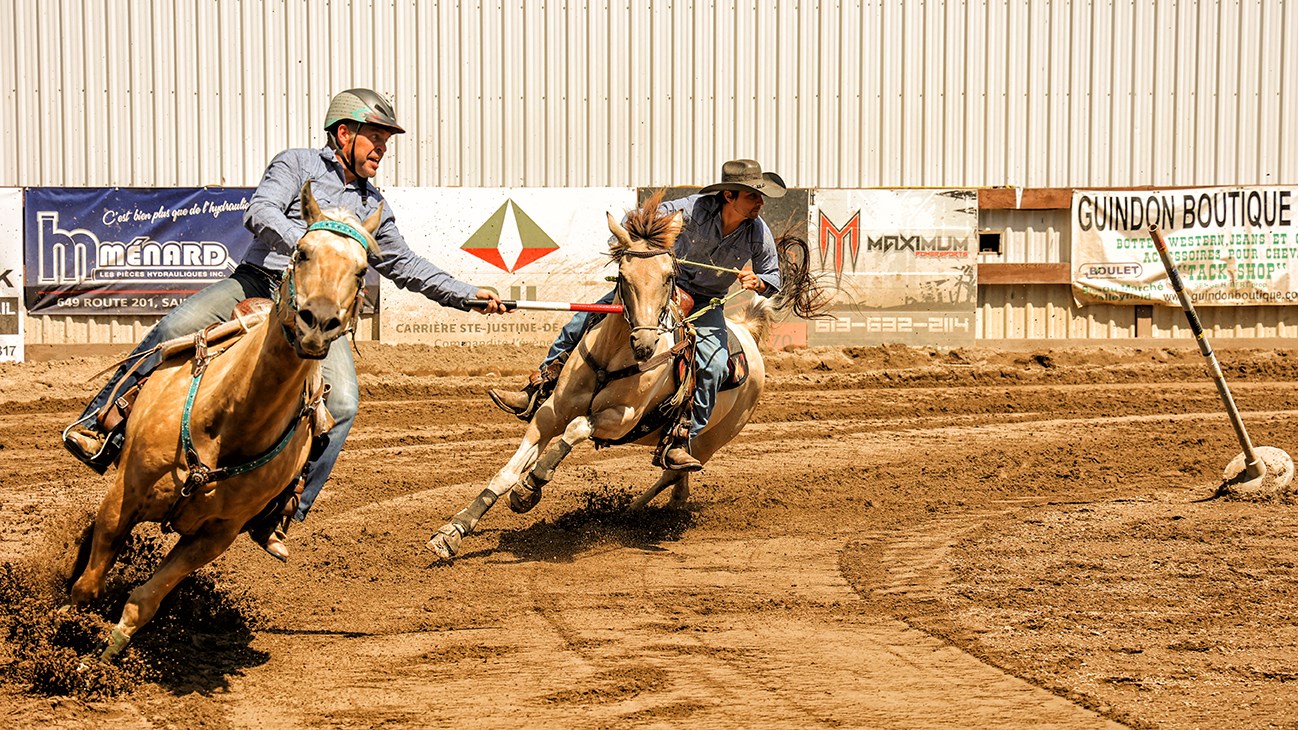 La fièvre équestre a atteint SainteJustinedeNewton