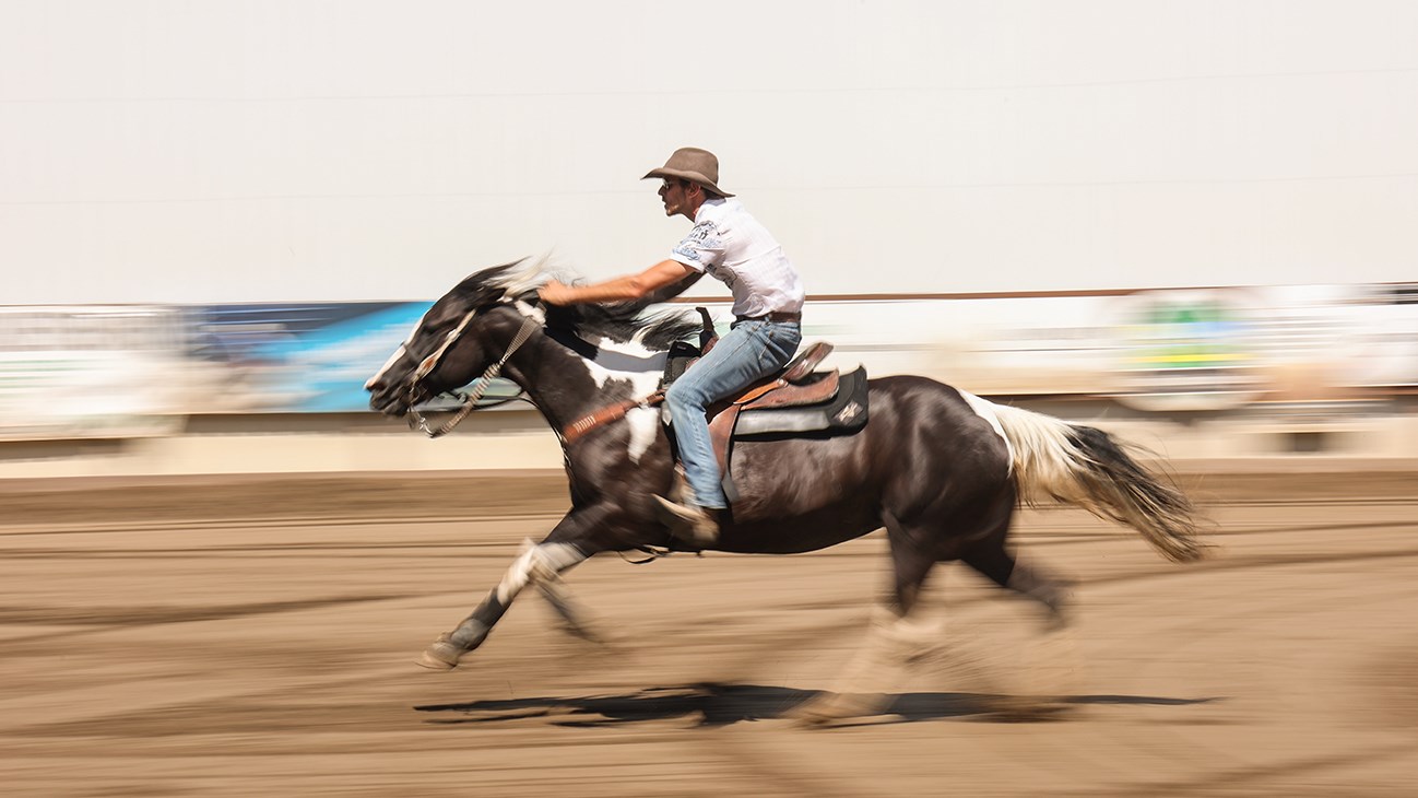 La fièvre équestre a atteint SainteJustinedeNewton
