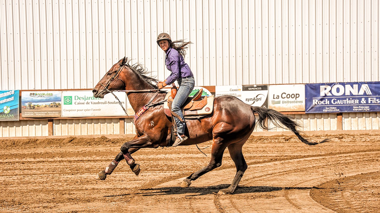 La fièvre équestre a atteint SainteJustinedeNewton