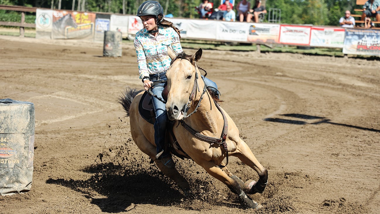 La fièvre équestre a atteint SainteJustinedeNewton