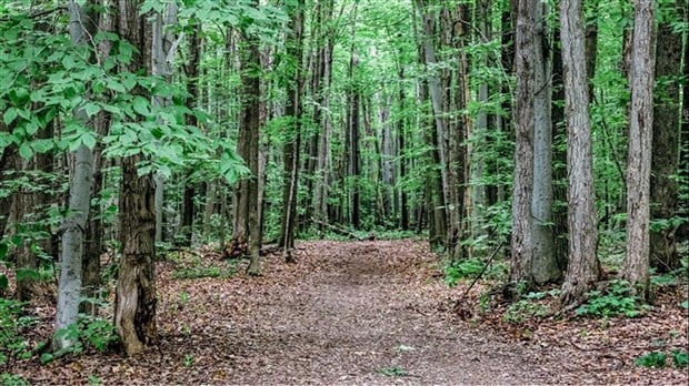 Un plan directeur pour la Fiducie de conservation du patrimoine naturel de Rigaud 