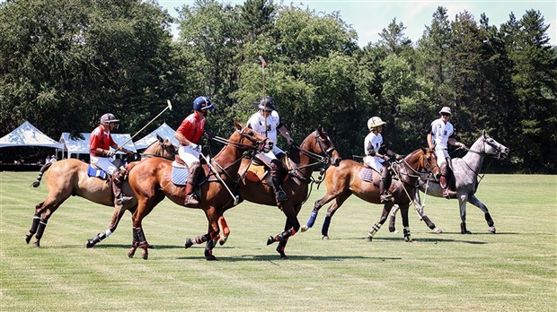 Près de 150 personnes assistent au match polo à Sainte-Marthe