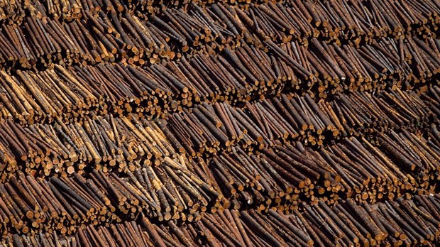 Ottawa conteste officiellement les tarifs douaniers américains sur le bois d'œuvre