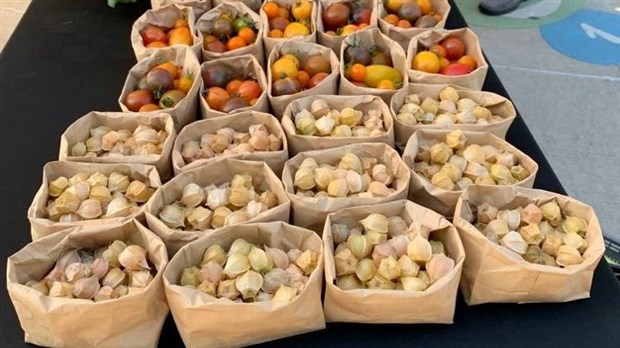 Le Marché des Saveurs de l'Île-Perrot est de retour