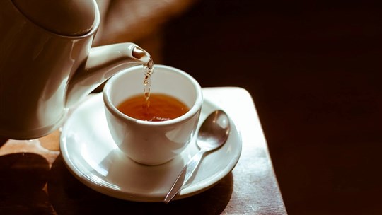 Découvrez le thé et son histoire lors d'une conférence dégustation 