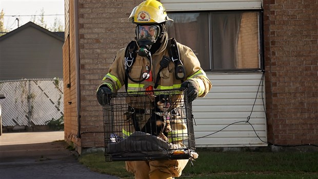 Fire mobilizes several firefighters in Les Coteaux   
