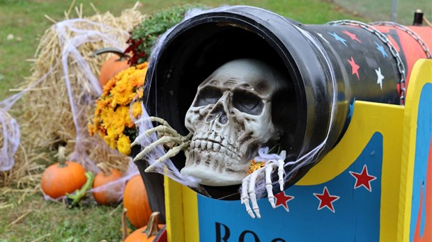 Reminder: the Halloween trail starts tomorrow at Harwood Nature Park