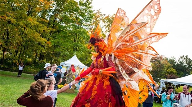 Cancellation of activities planned for this Saturday at the Festival des couleurs de Rigaud 