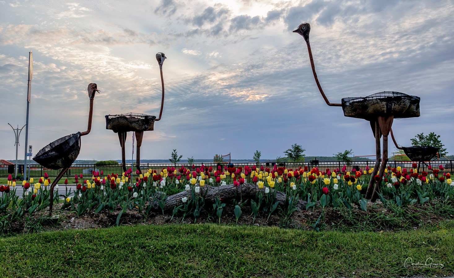 VaudreuilDorion finalist for the Recognition of Outstanding